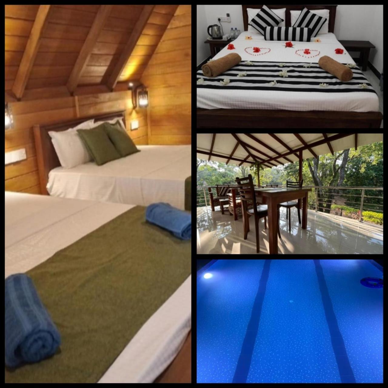 Habarana New Star Homestay Zewnętrze zdjęcie