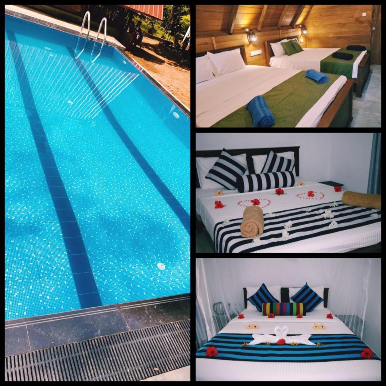 Habarana New Star Homestay Zewnętrze zdjęcie